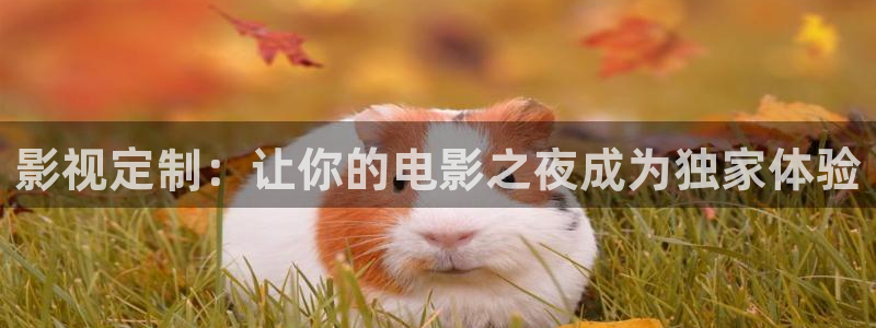 神马第九影院我不卡